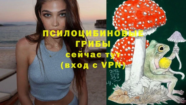 apvp Лабытнанги