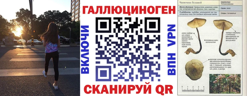 Купить закладки  Костомукша  Псилоцибиновые грибы MAGIC MUSHROOMS 